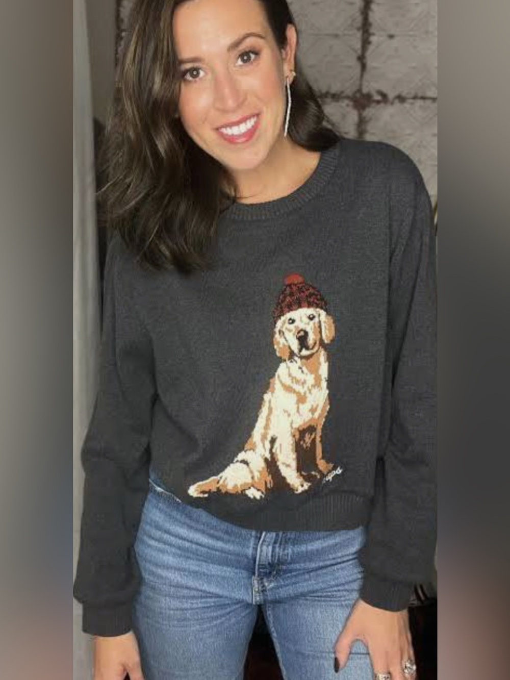 Chaps Novelty Golden Retriever Dog Holiday Gray Sweater Size Small